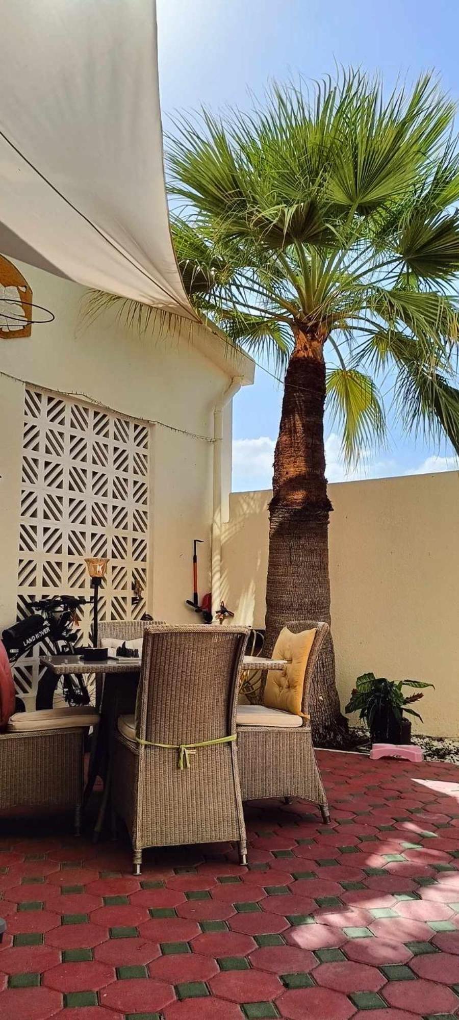 Jumeirah Beach Villa Дубай Экстерьер фото